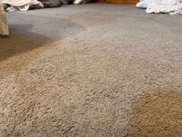Example of stained carpets