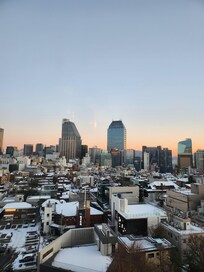 룸에서 내려다본 전경