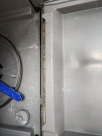 Mold in dish washer.