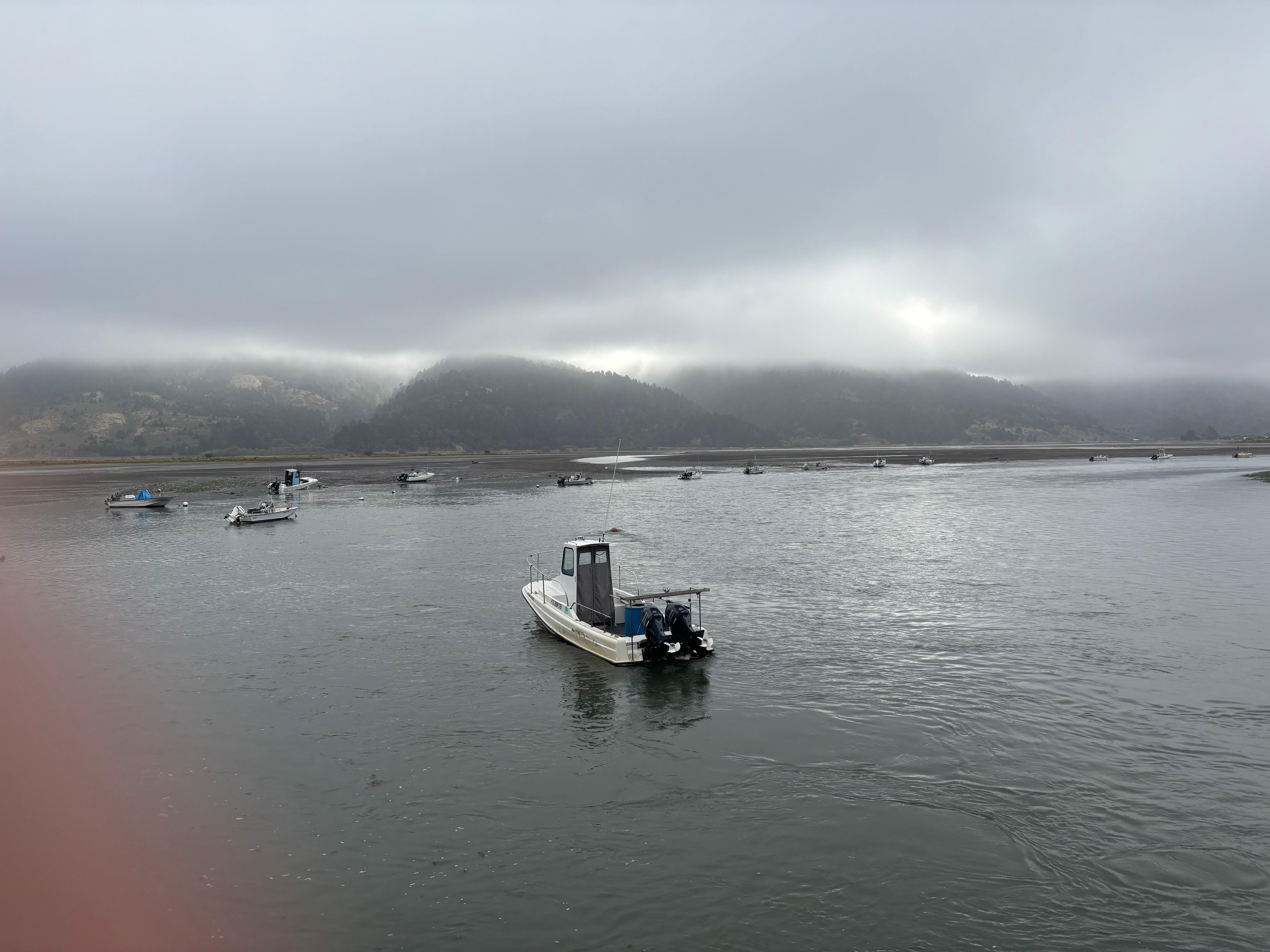 Early morning view from the deck. 