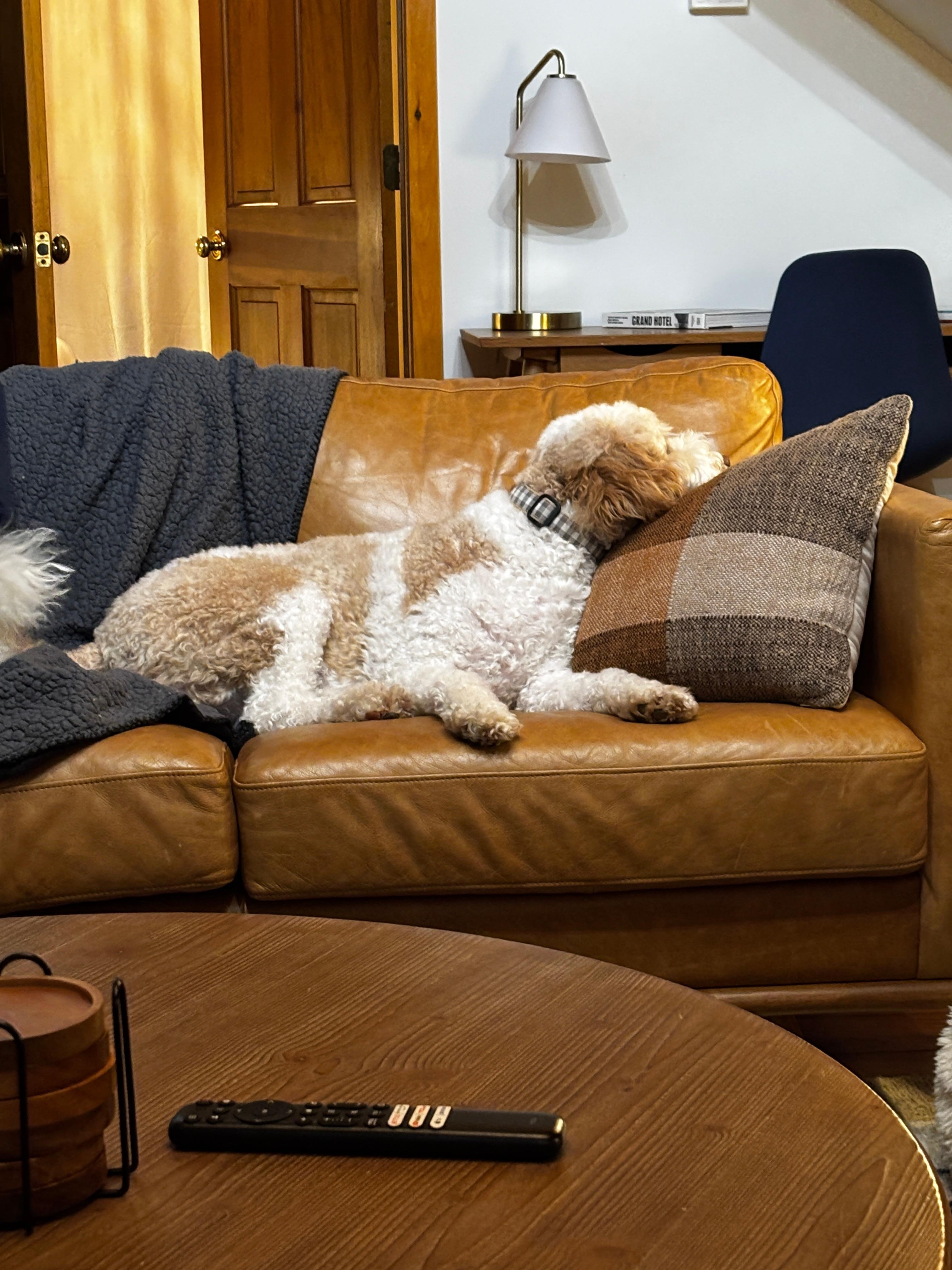 This place is sooo relaxing.  