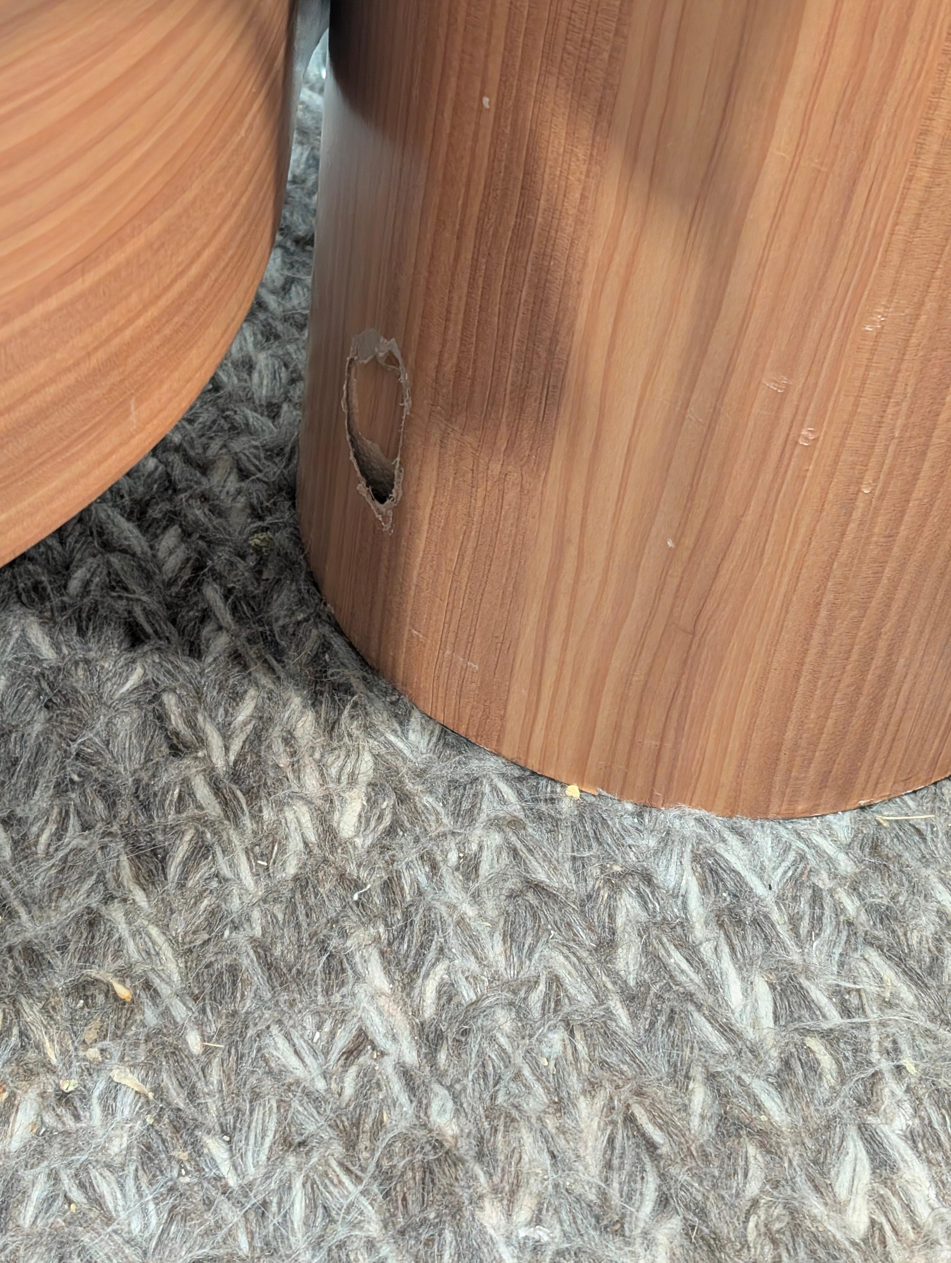 Dirty rug. Looks like crumbs on the floor.