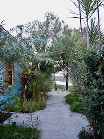 Walkway and landscaping