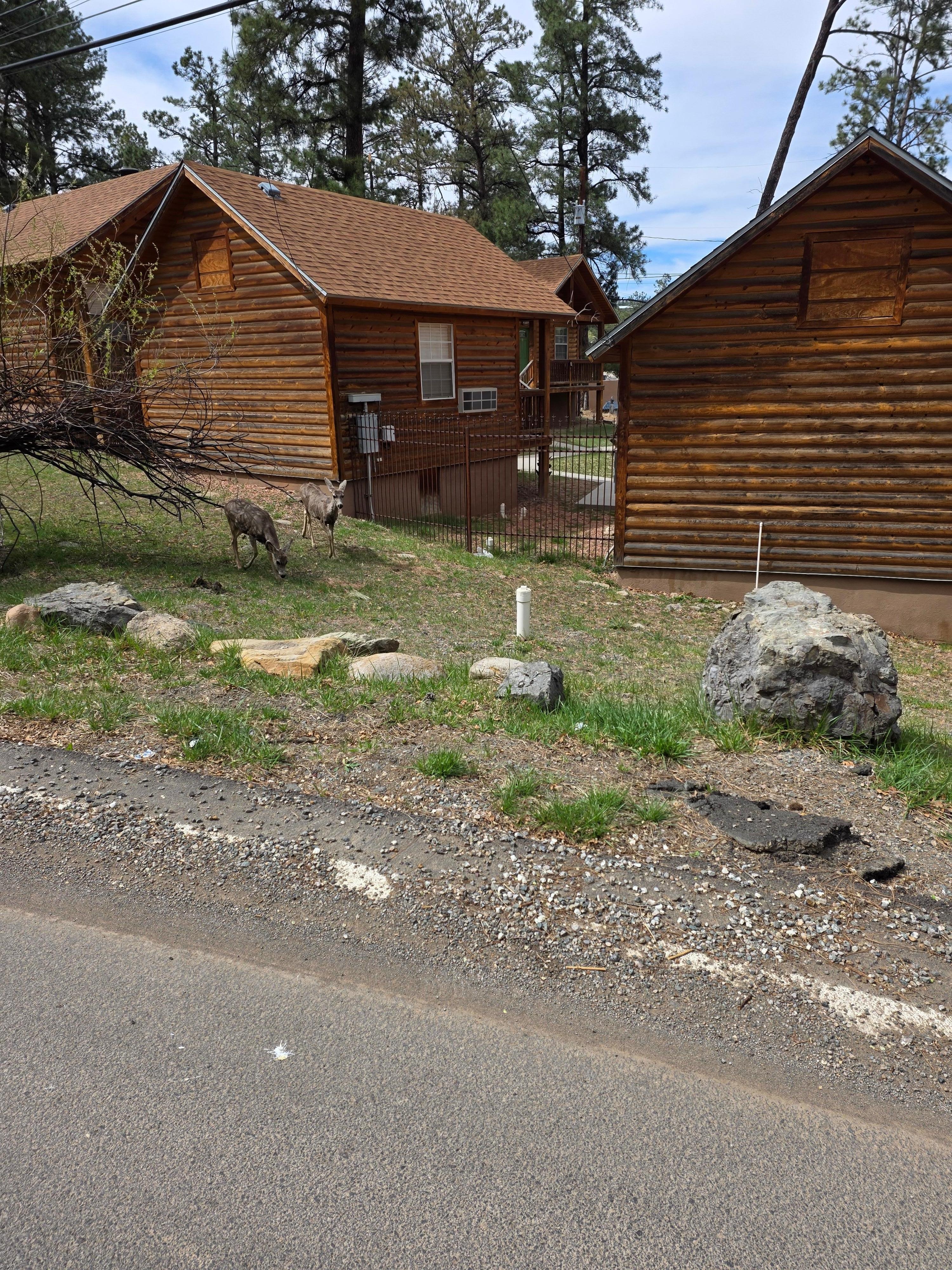 Beautiful surroundings!