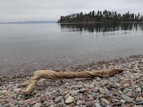 Flat Head lake, colored rocks and drift wood