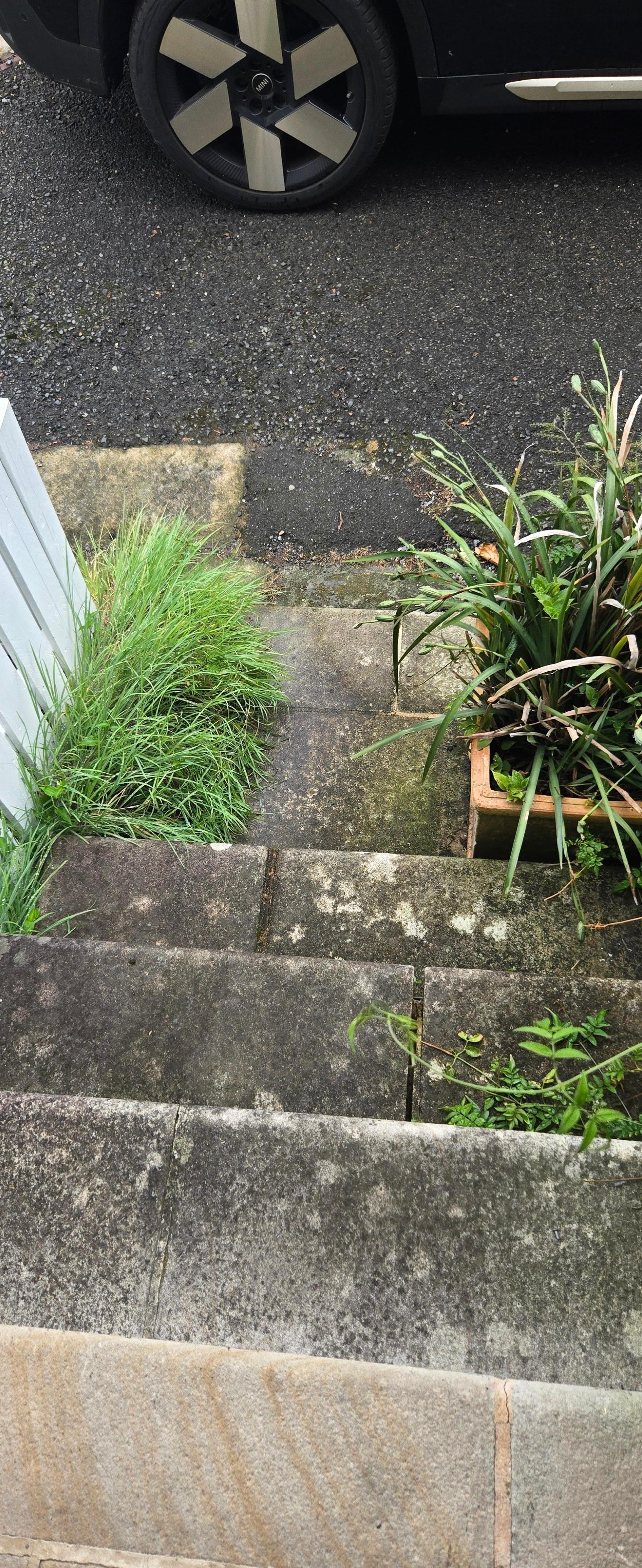 Outdoor areas front and back covered in brush and in dis-repair.