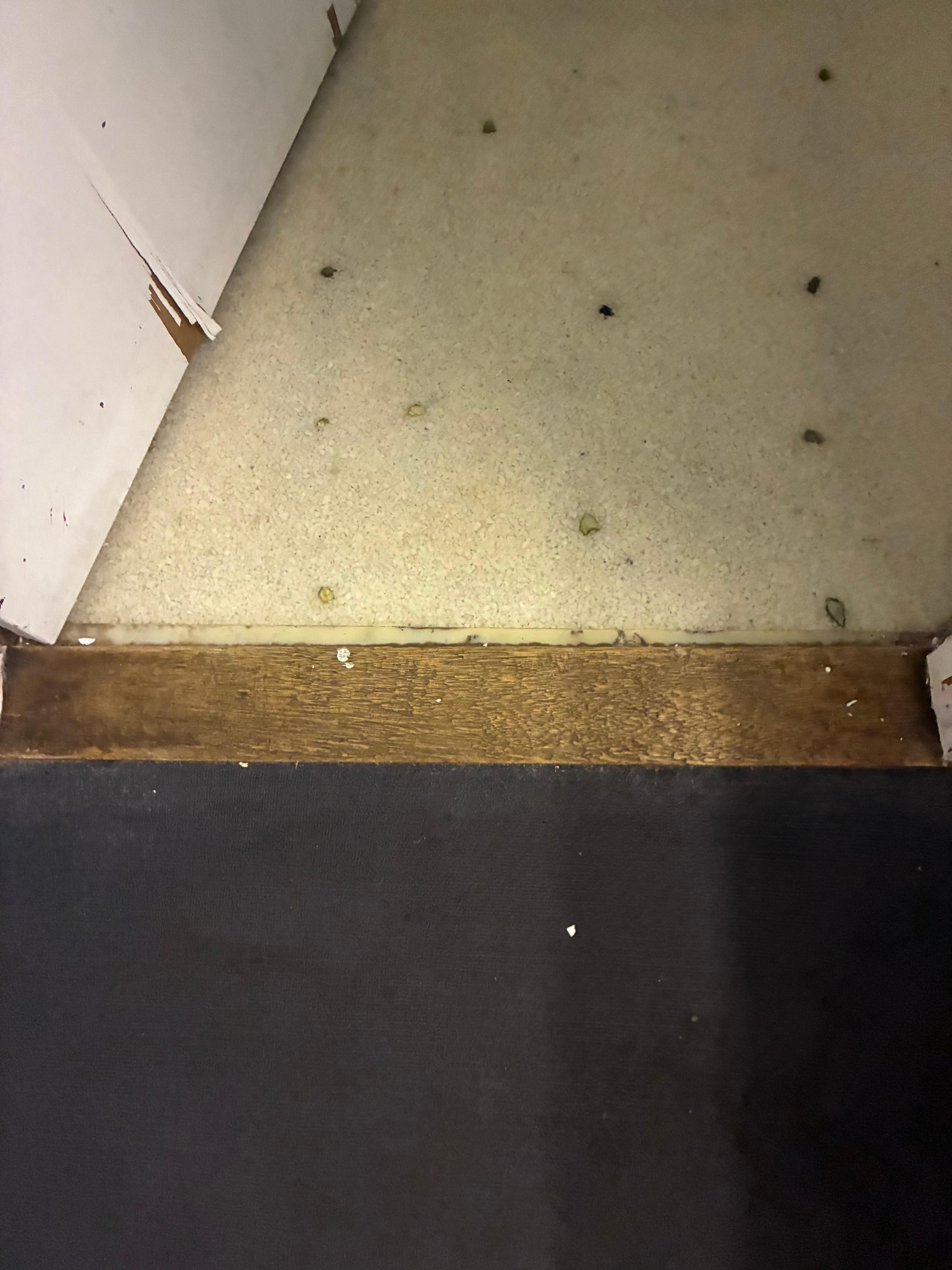 Floor peeling up at seems