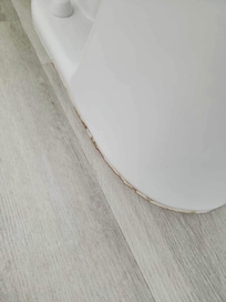 urine stains around the toilet