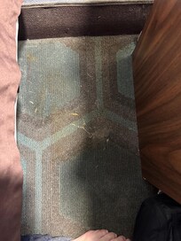 Dust bunnies, no vacuum.