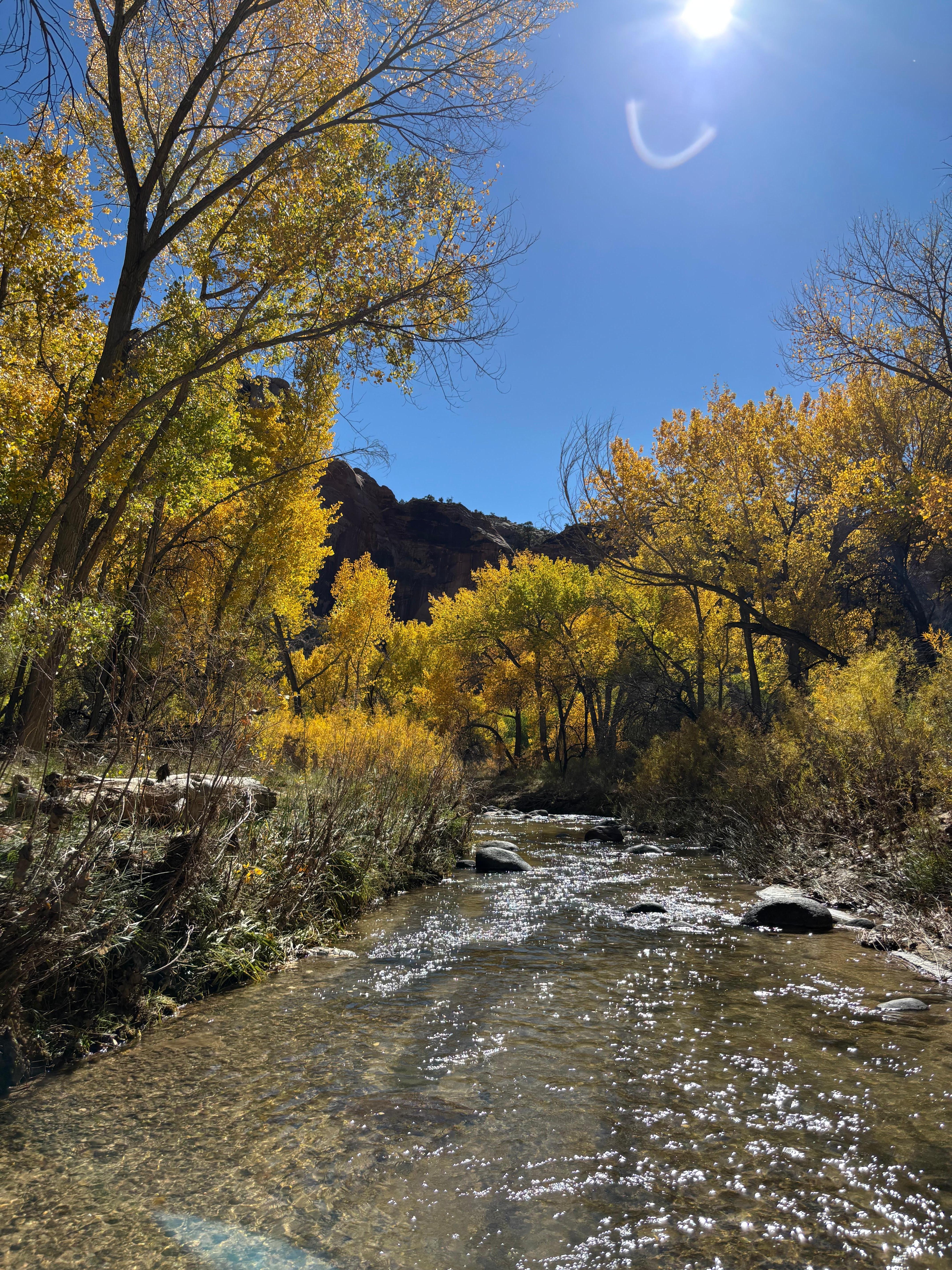 Hiking Upper Calf Creek