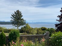 View from back yard