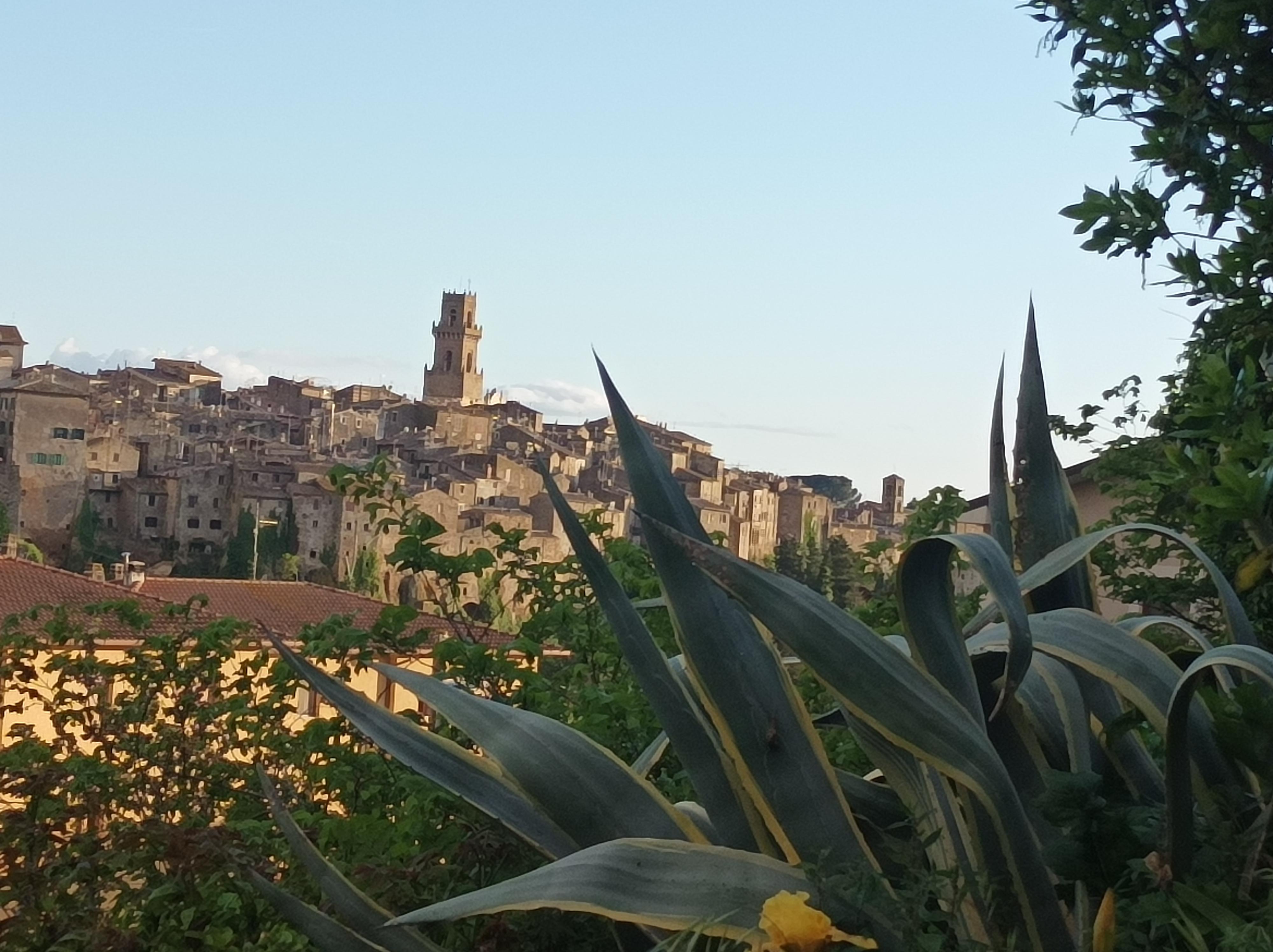 vista