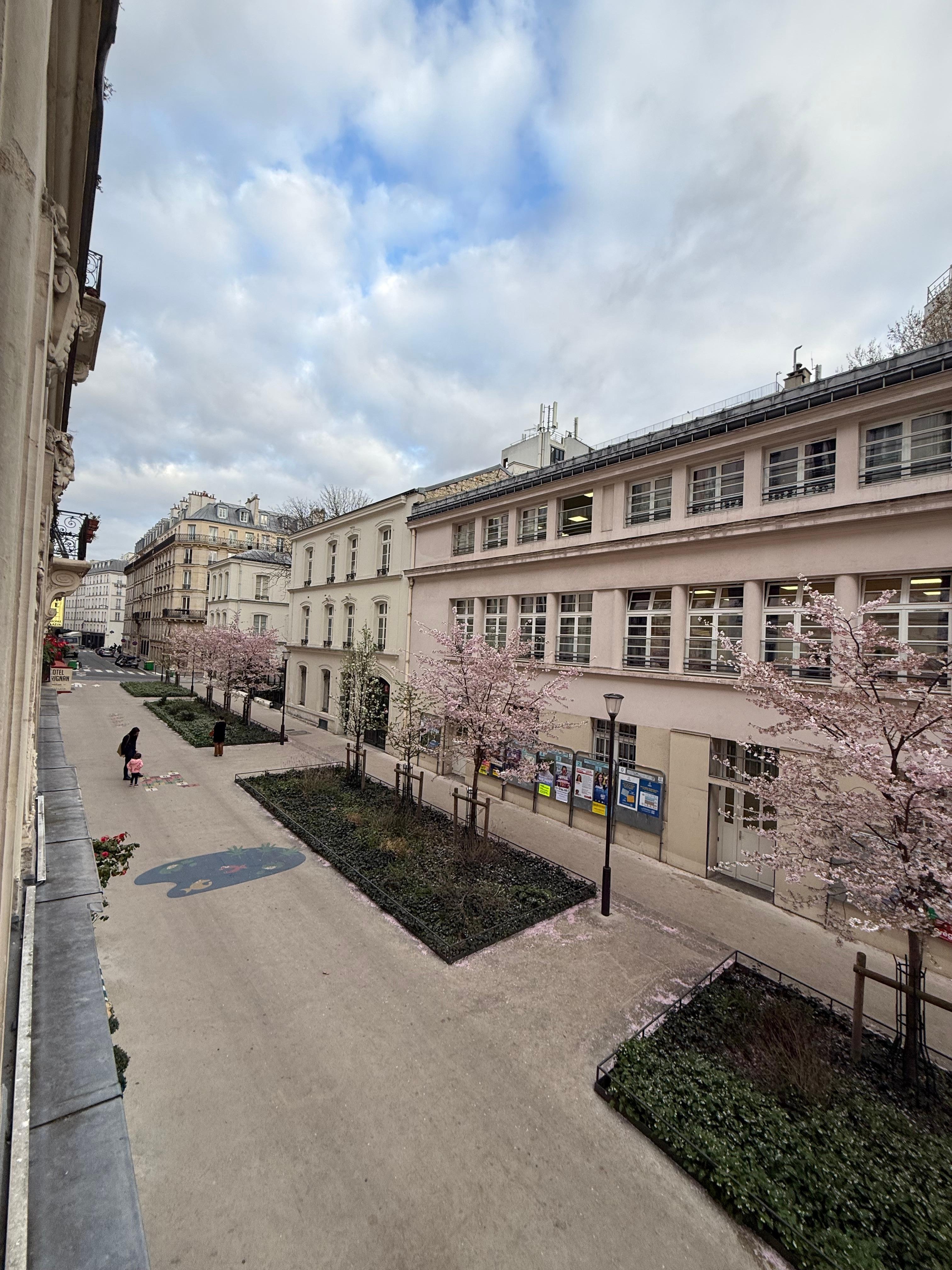 View outside the windows from the room. 