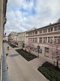 View outside the windows from the room.