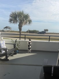 Our dog Kelce loved watching the world go by from our deck.
