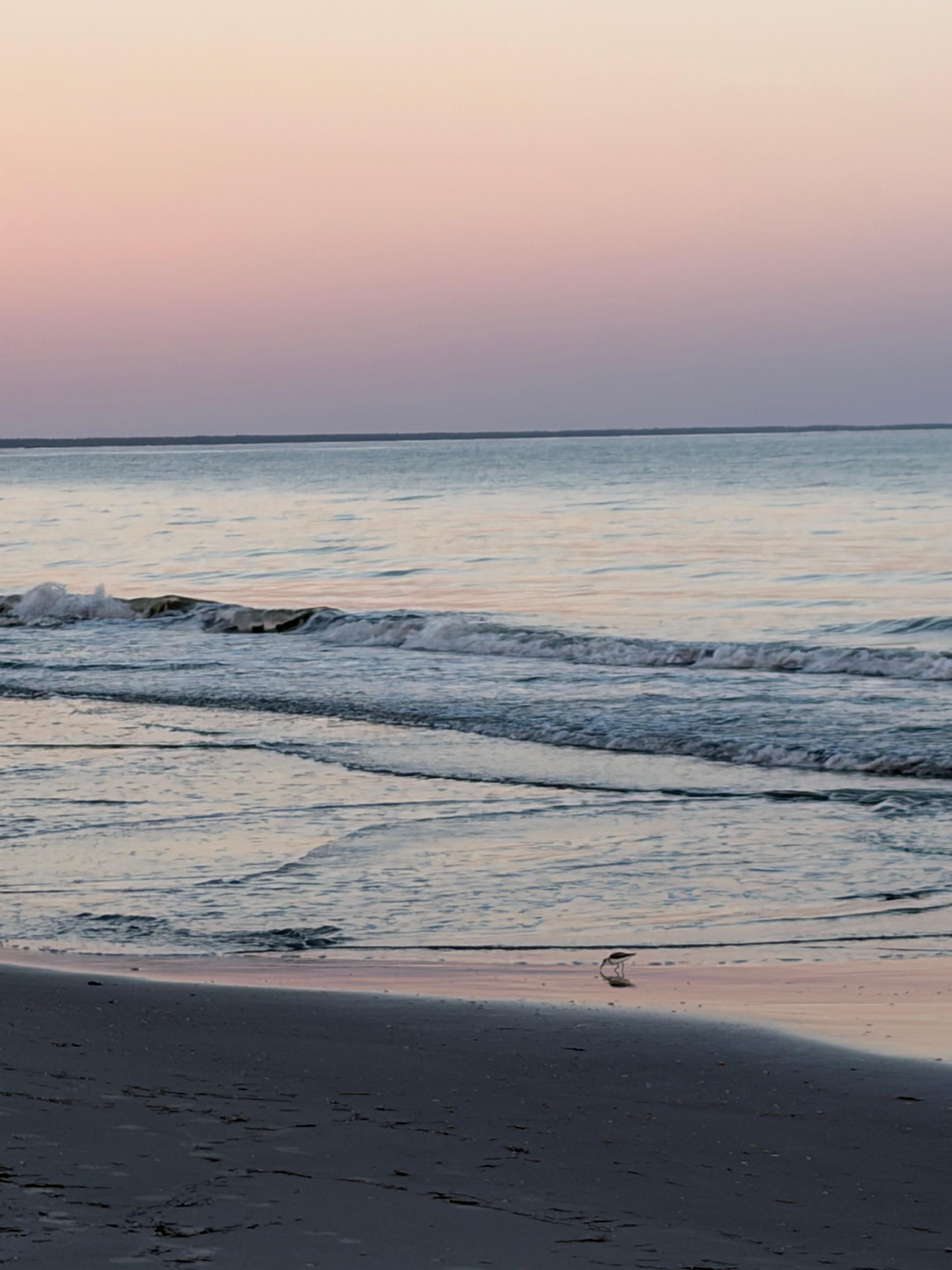 Presunrise