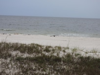 Sand is amazingly cool and squeaky. So clean