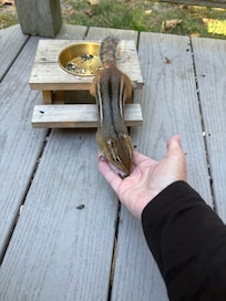 Sweet Hoover!!❤️❤️❤️