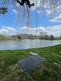 Yes there is a swing by the pond