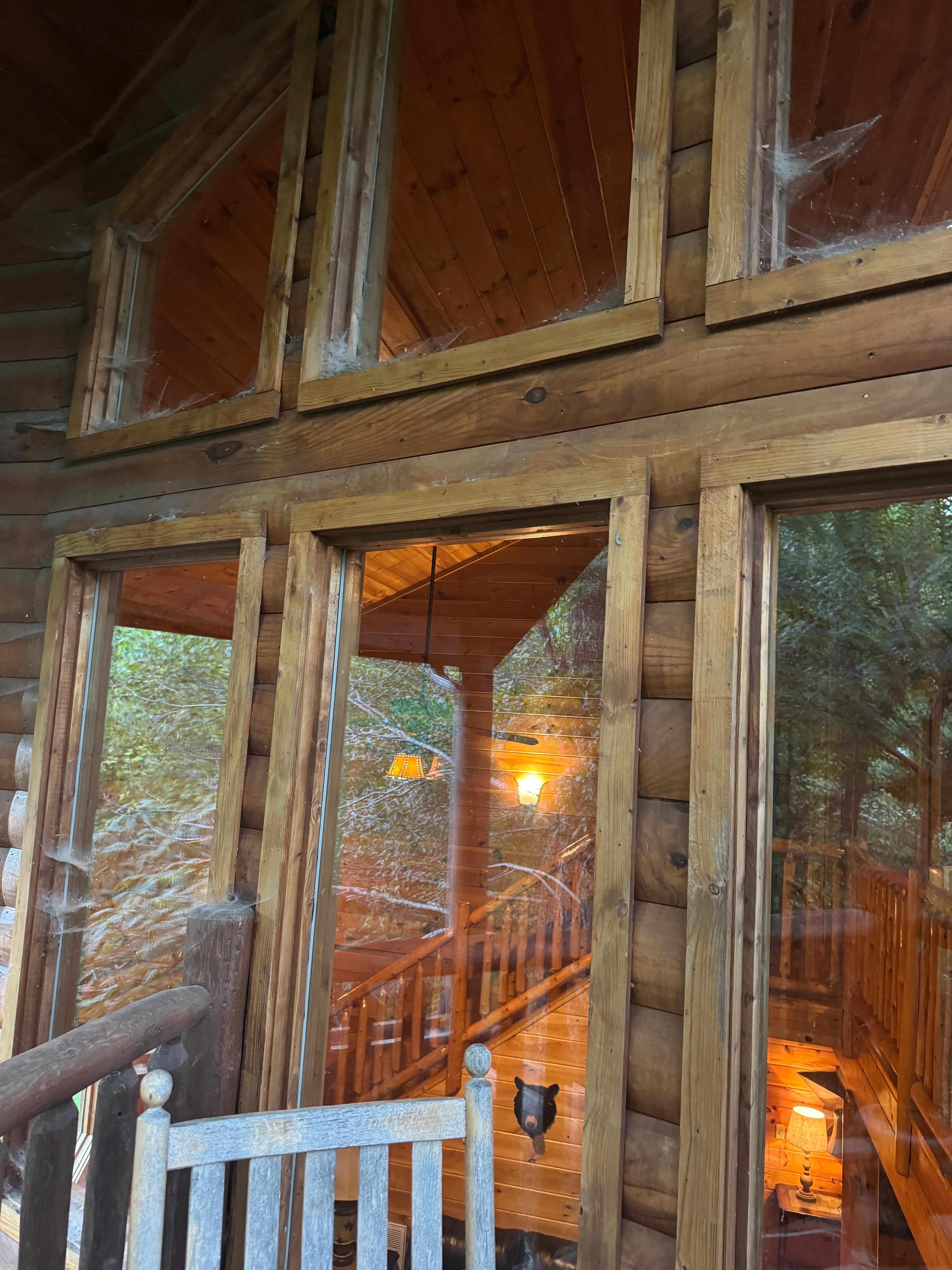 A photo of cob webs in the edges of windows 