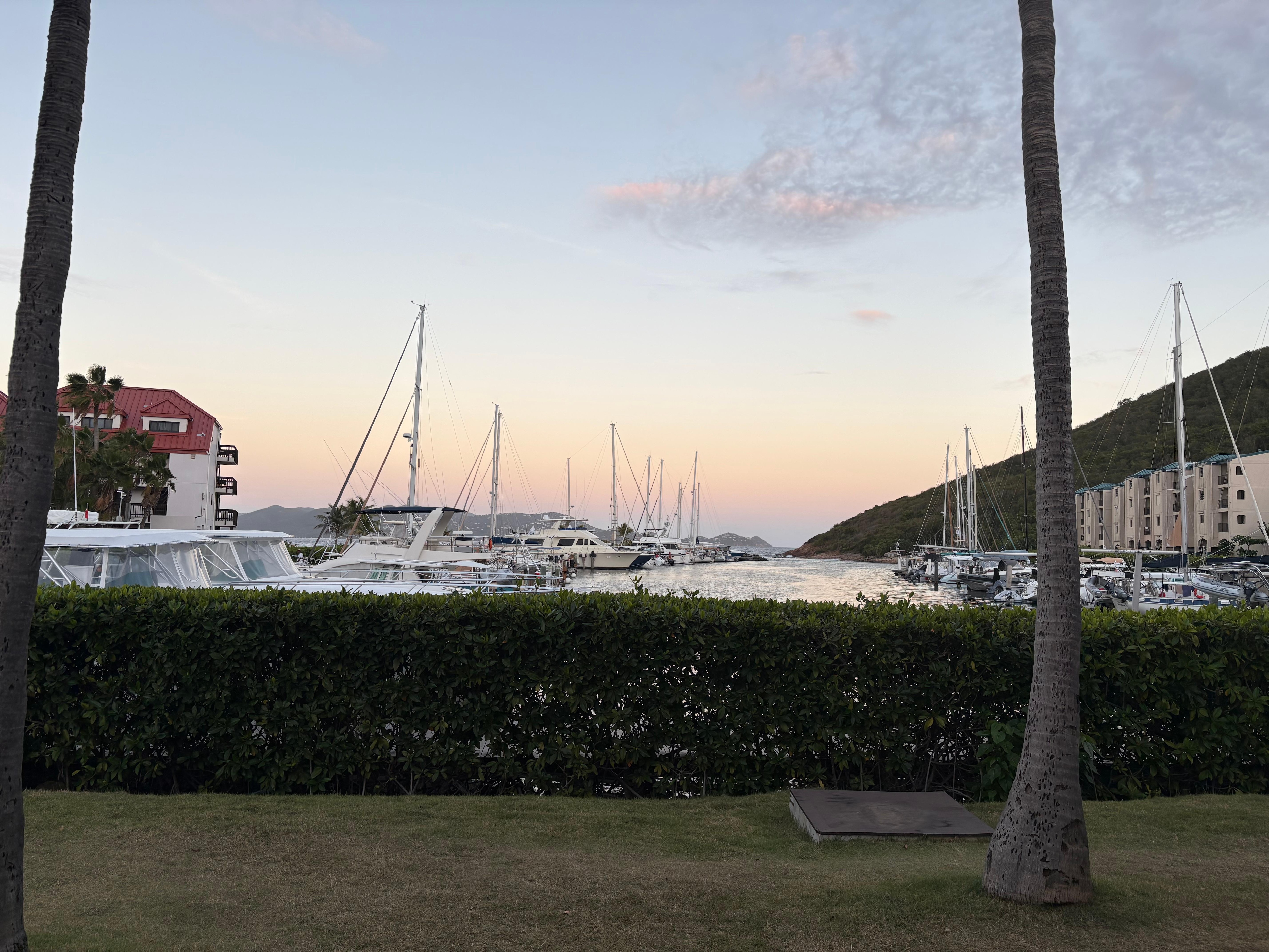 Marina views while enjoying tea. 