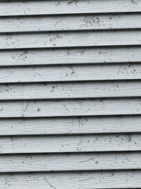 Spider webs and debris on house