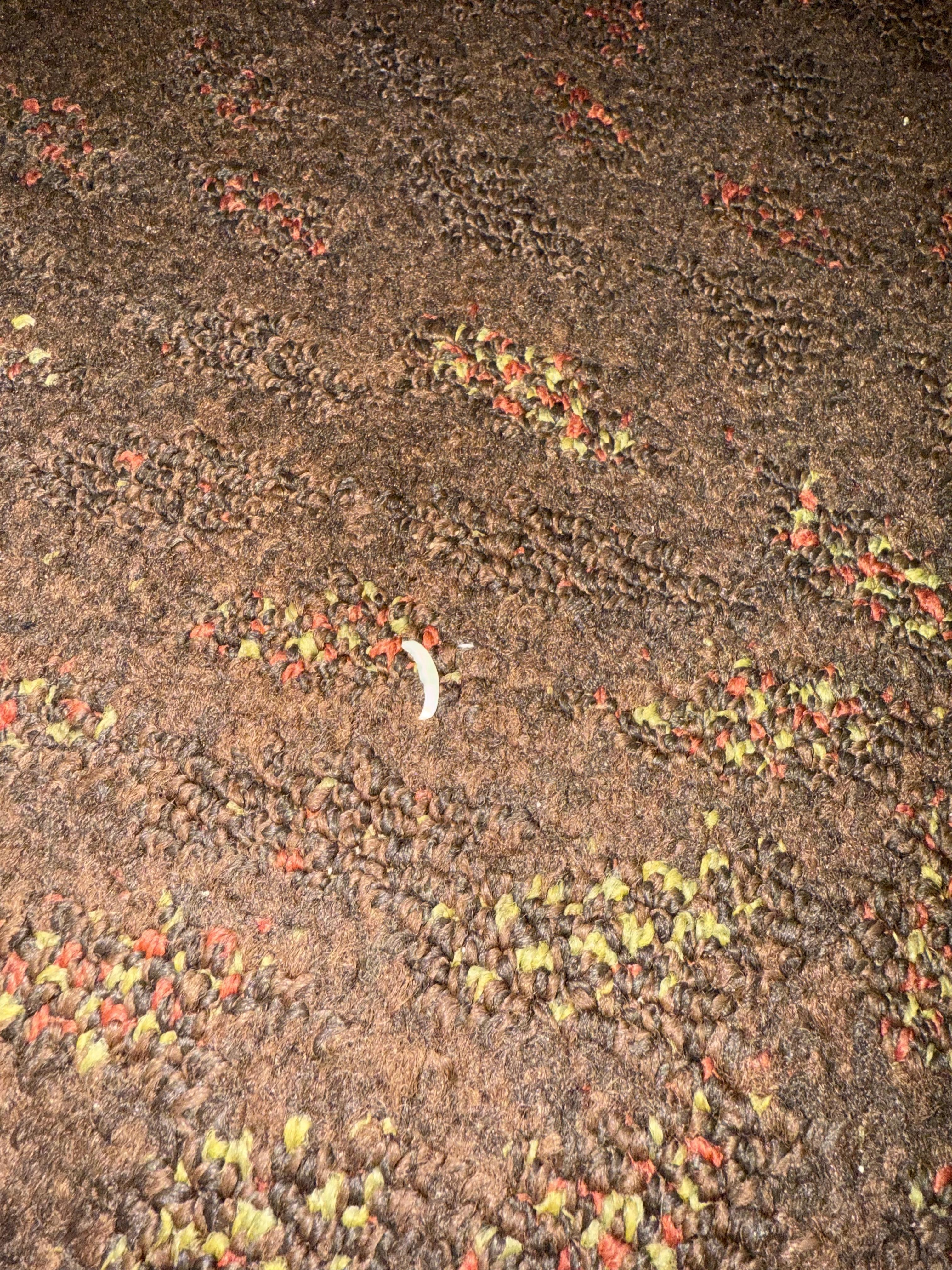 One of the toenails on the floor 