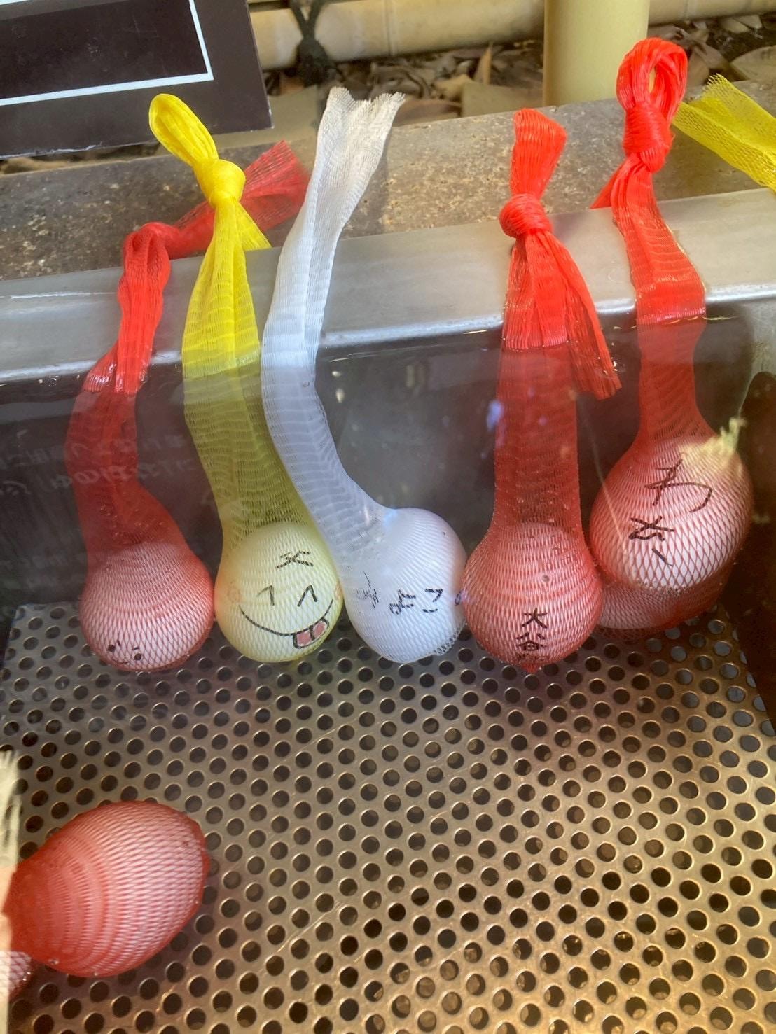 サービスの温泉卵作り