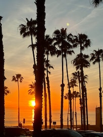 Beach sunset