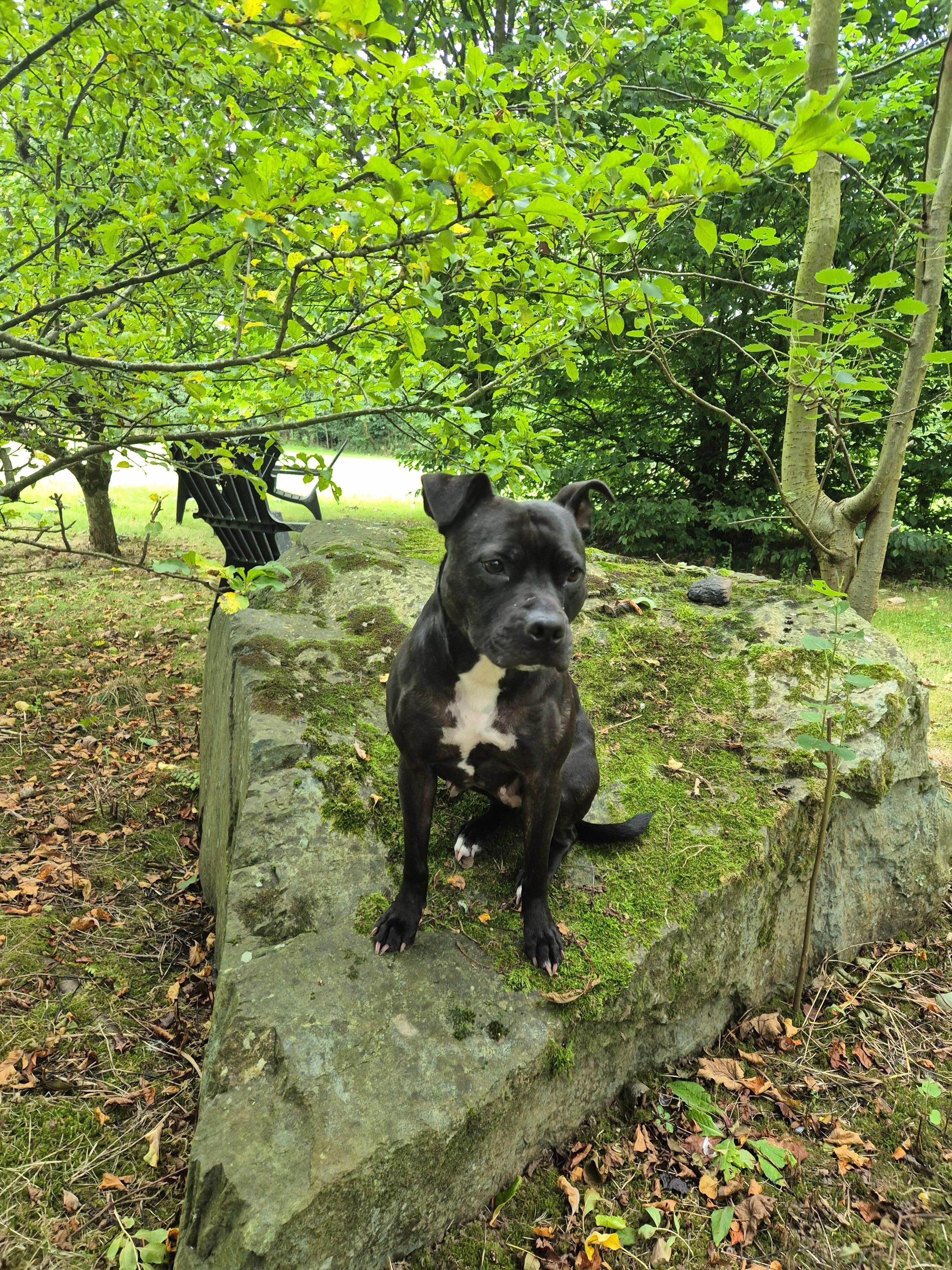 Daisy loved the Garden 