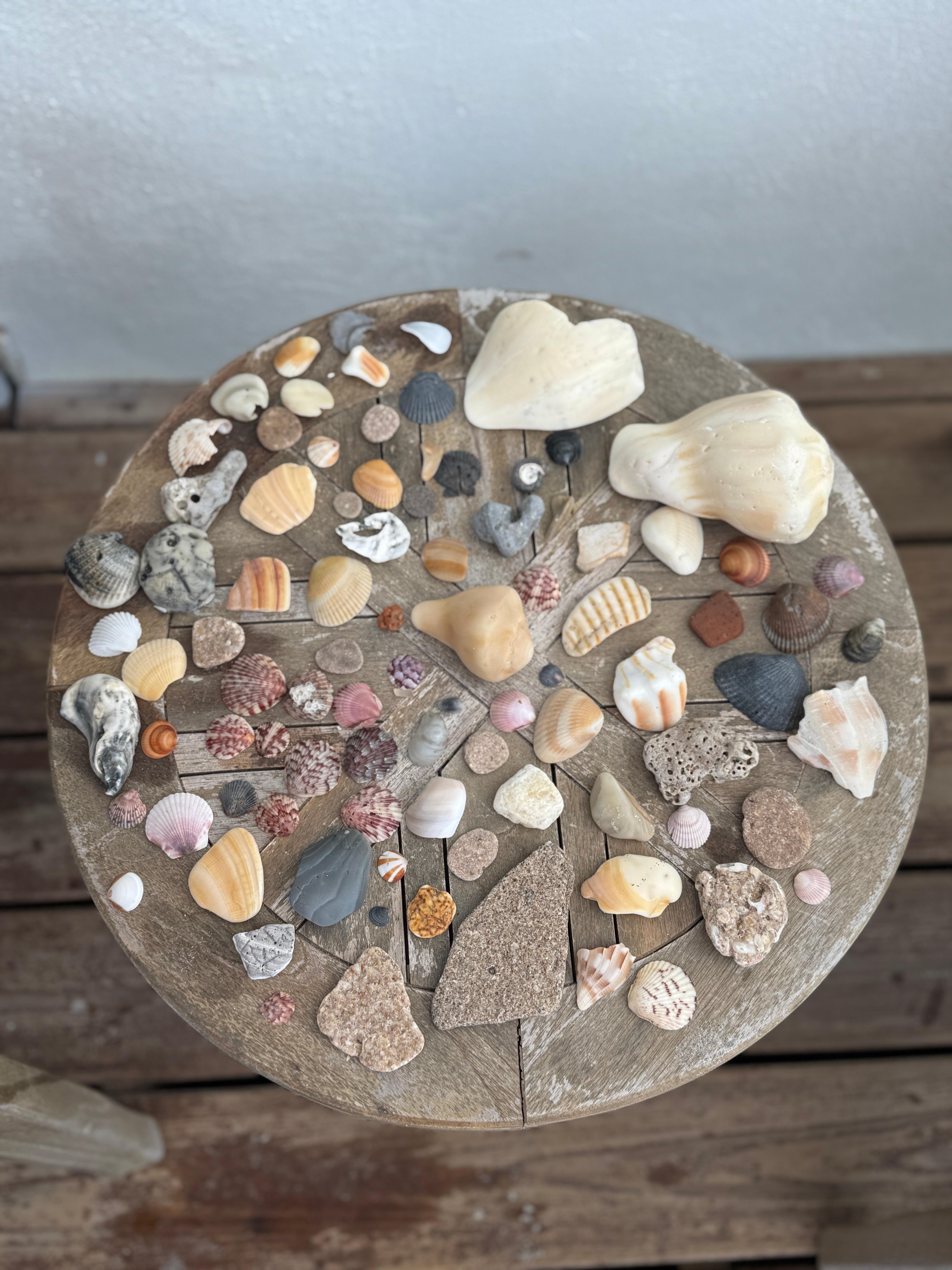 Most shells were about a 15 minute walk south of the resort.
