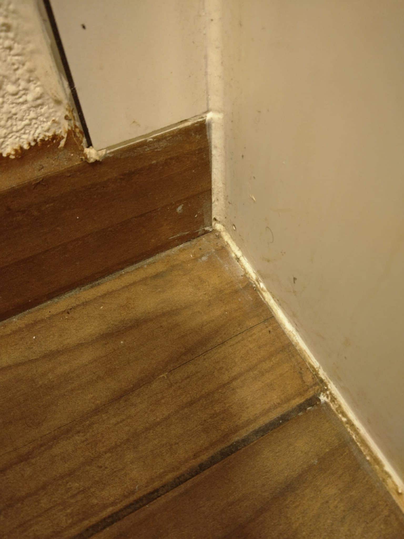 Dirt 