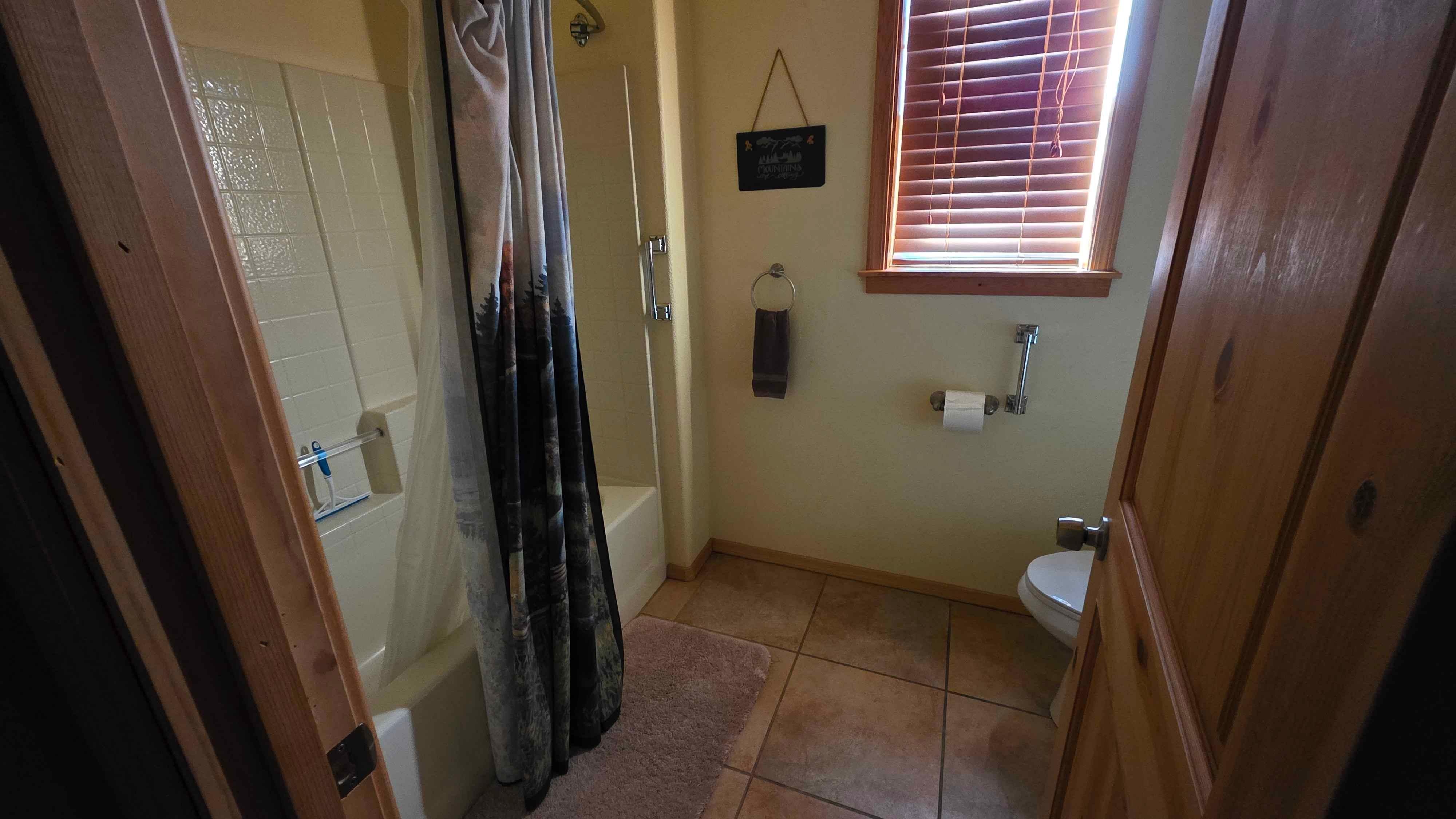 Bathroom shower and toilet