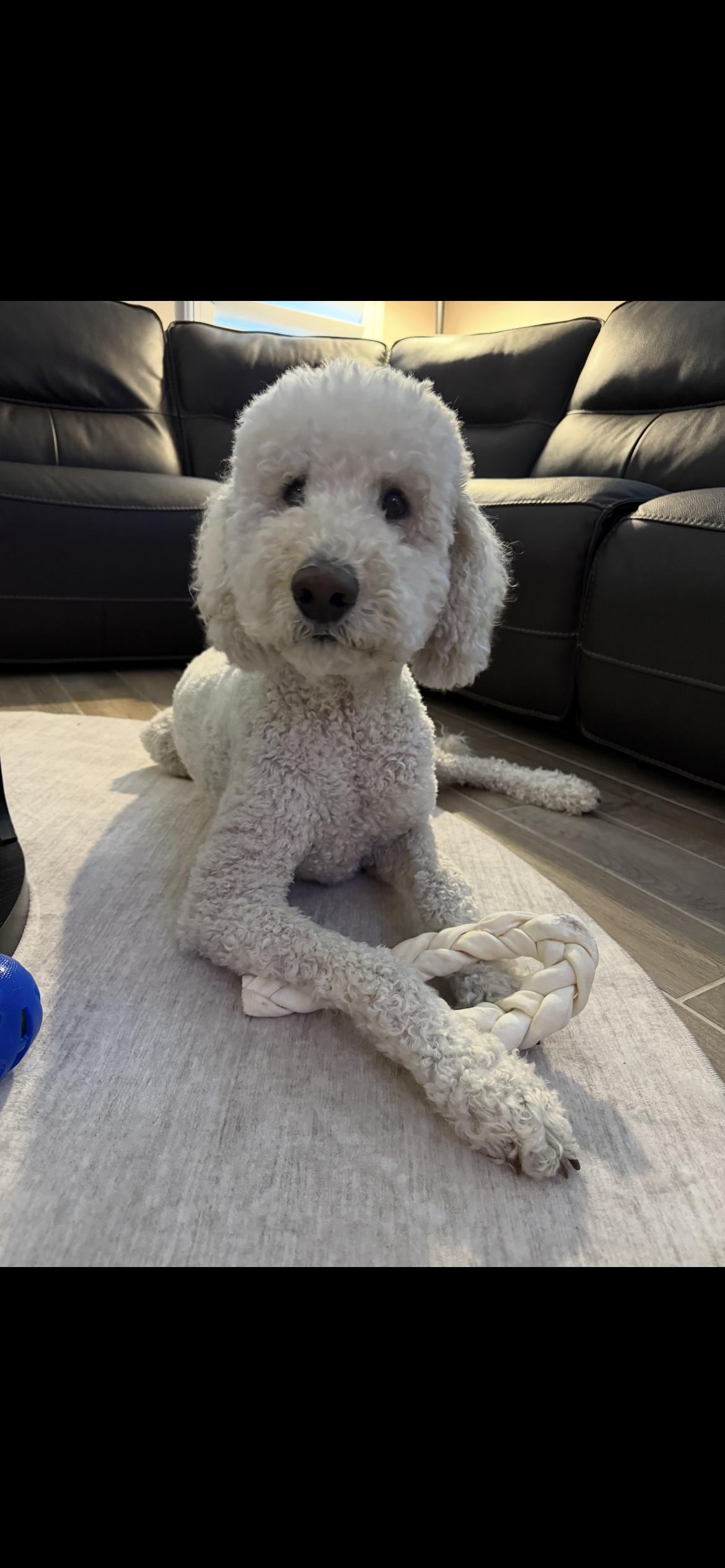 Cooper had a great time 