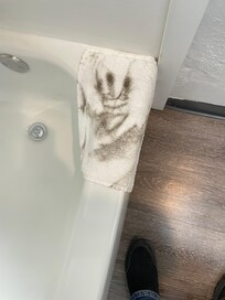 This is only one of two towels that were used to wipe up the tilt on the floor between the two bed