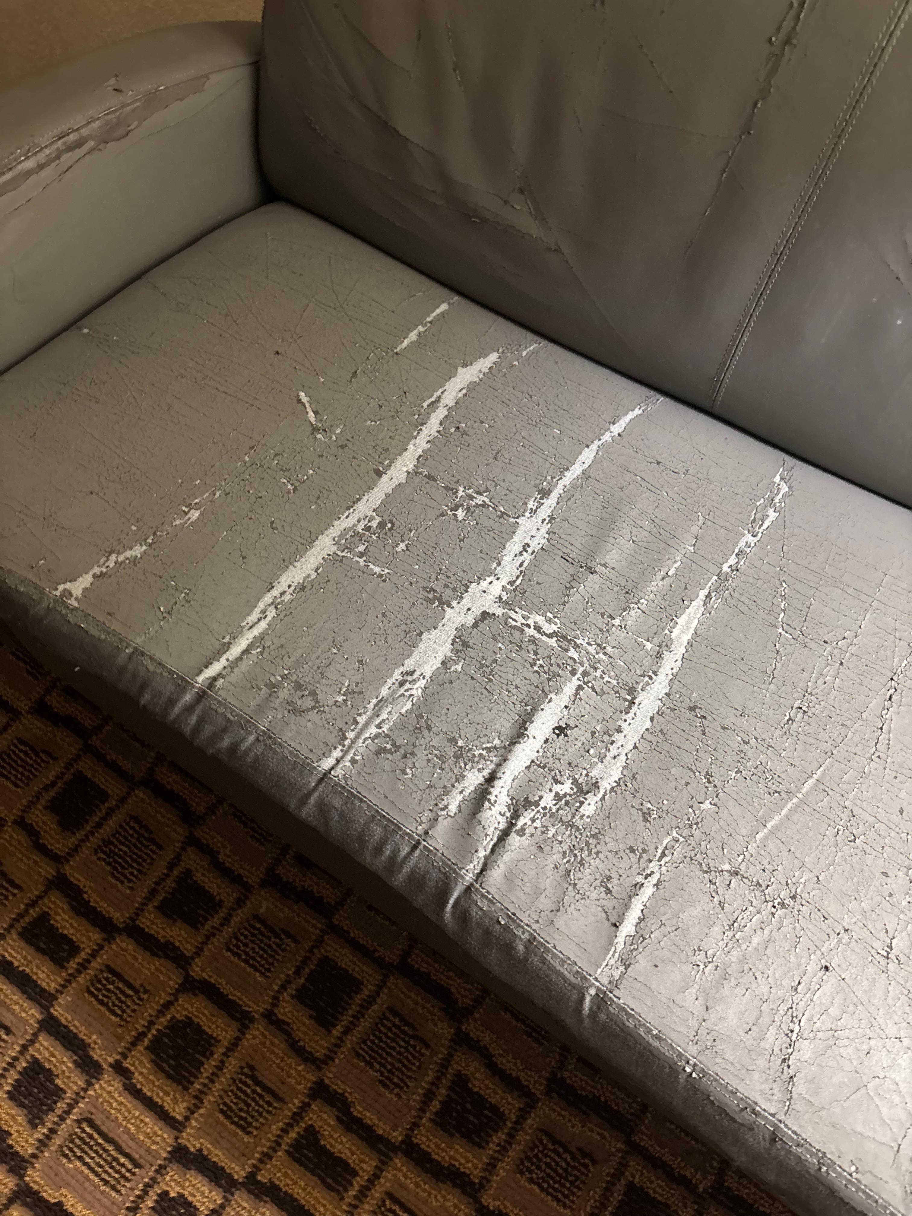 Torn up couch