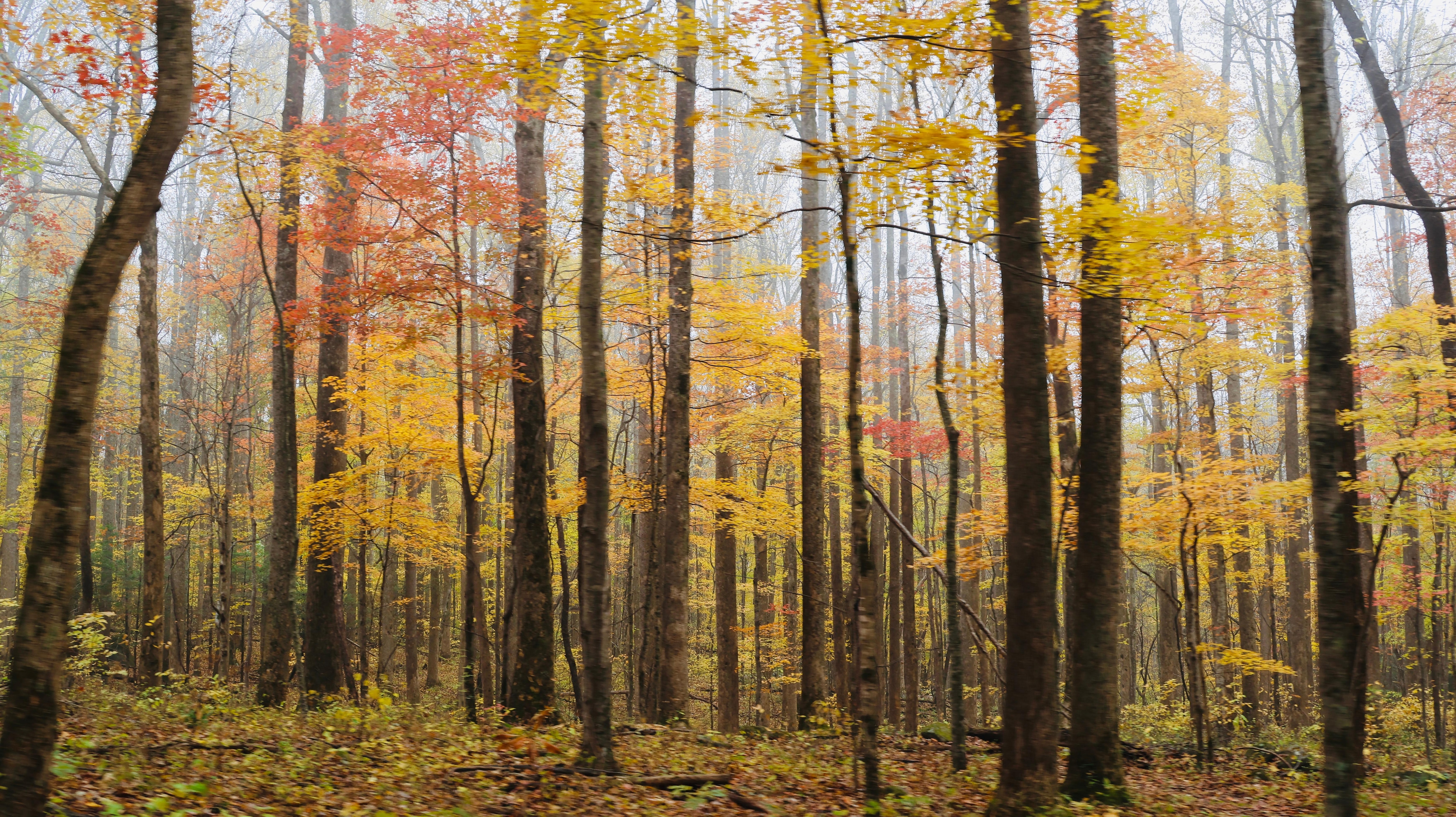 Beautiful scenery around the area 