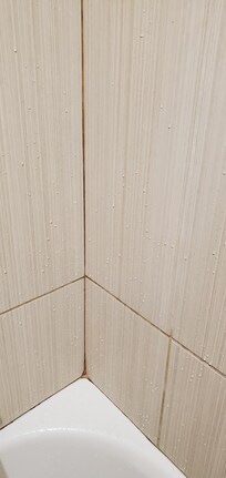 Mold on shower