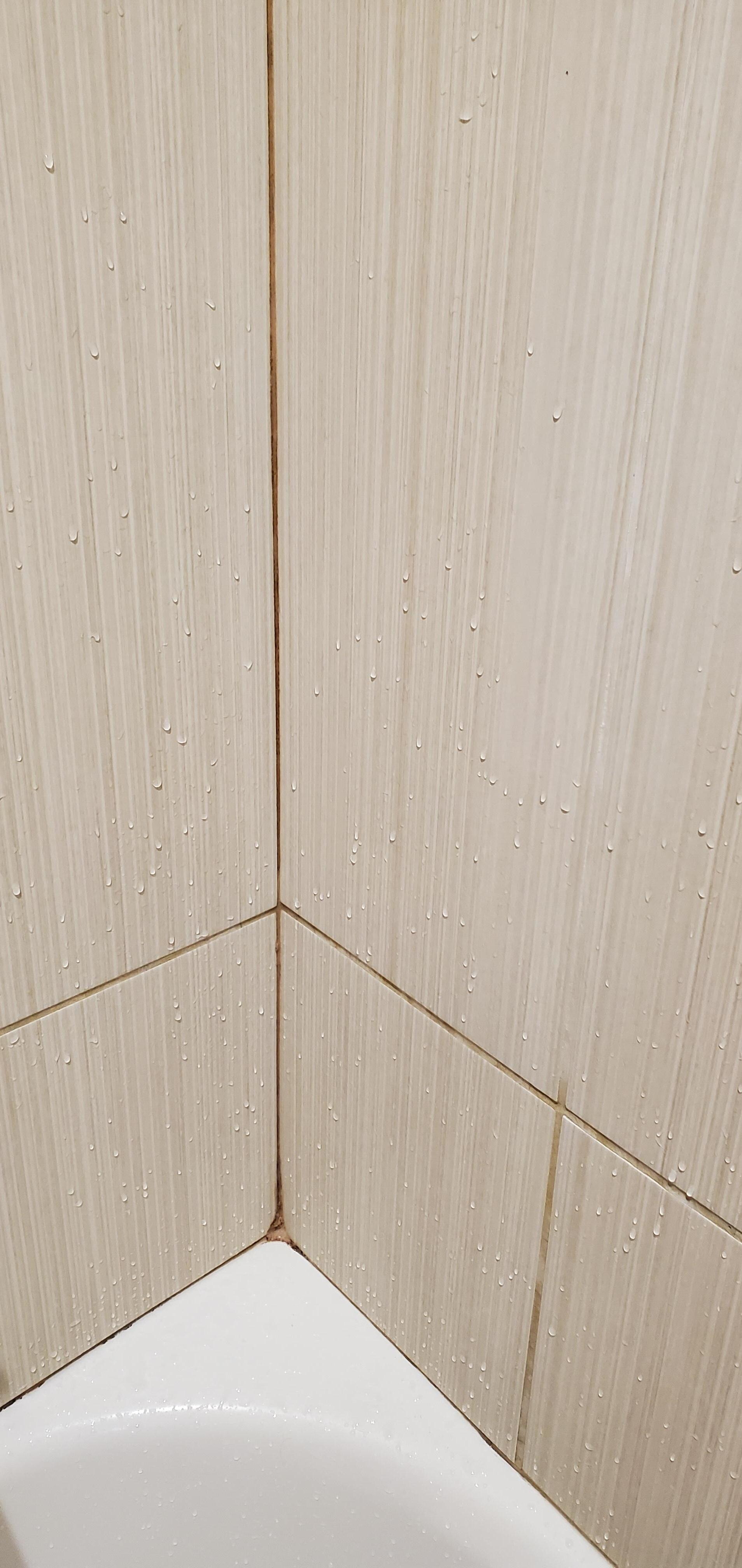 Mold on shower