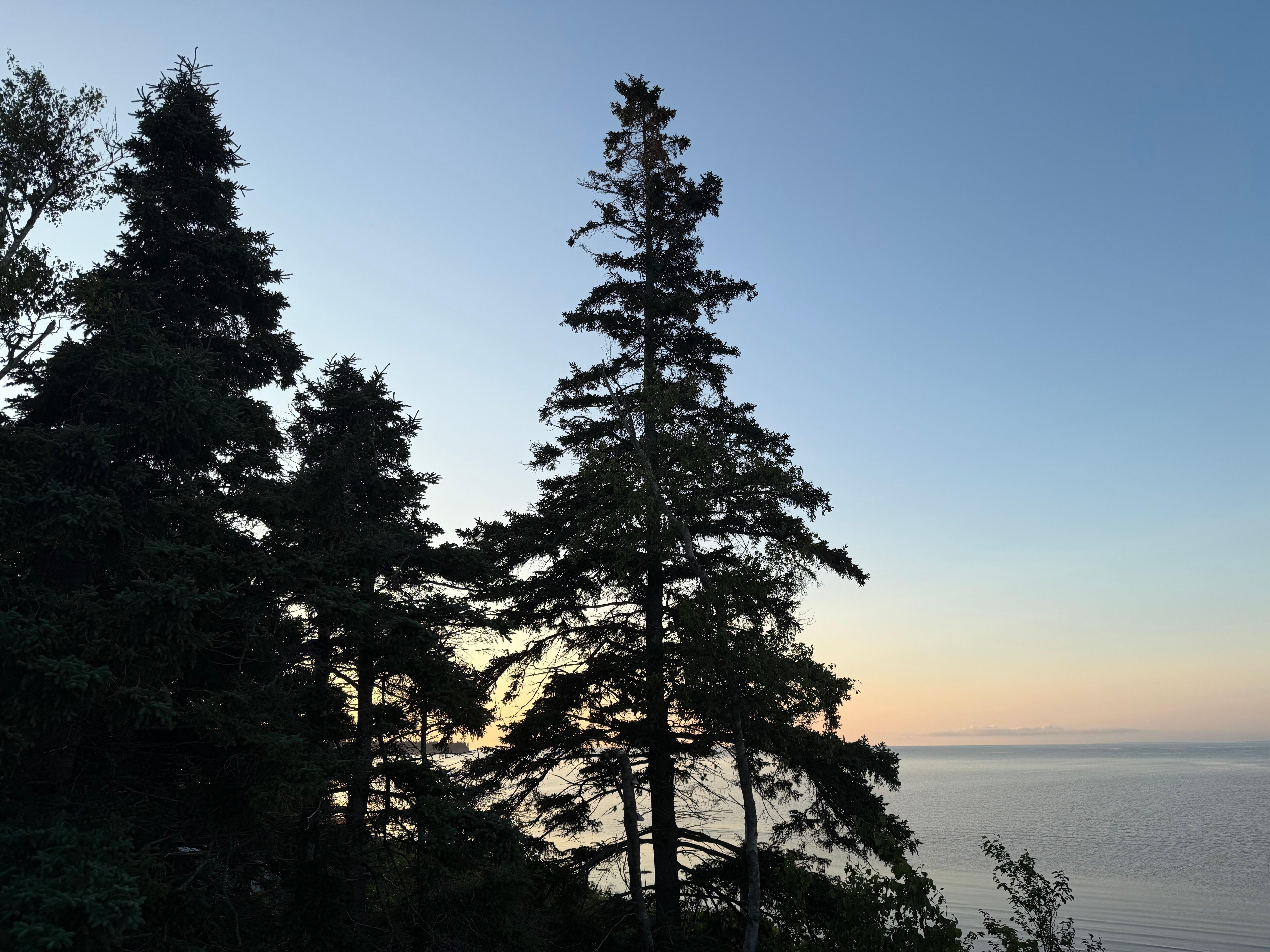 Dawn of a new day 