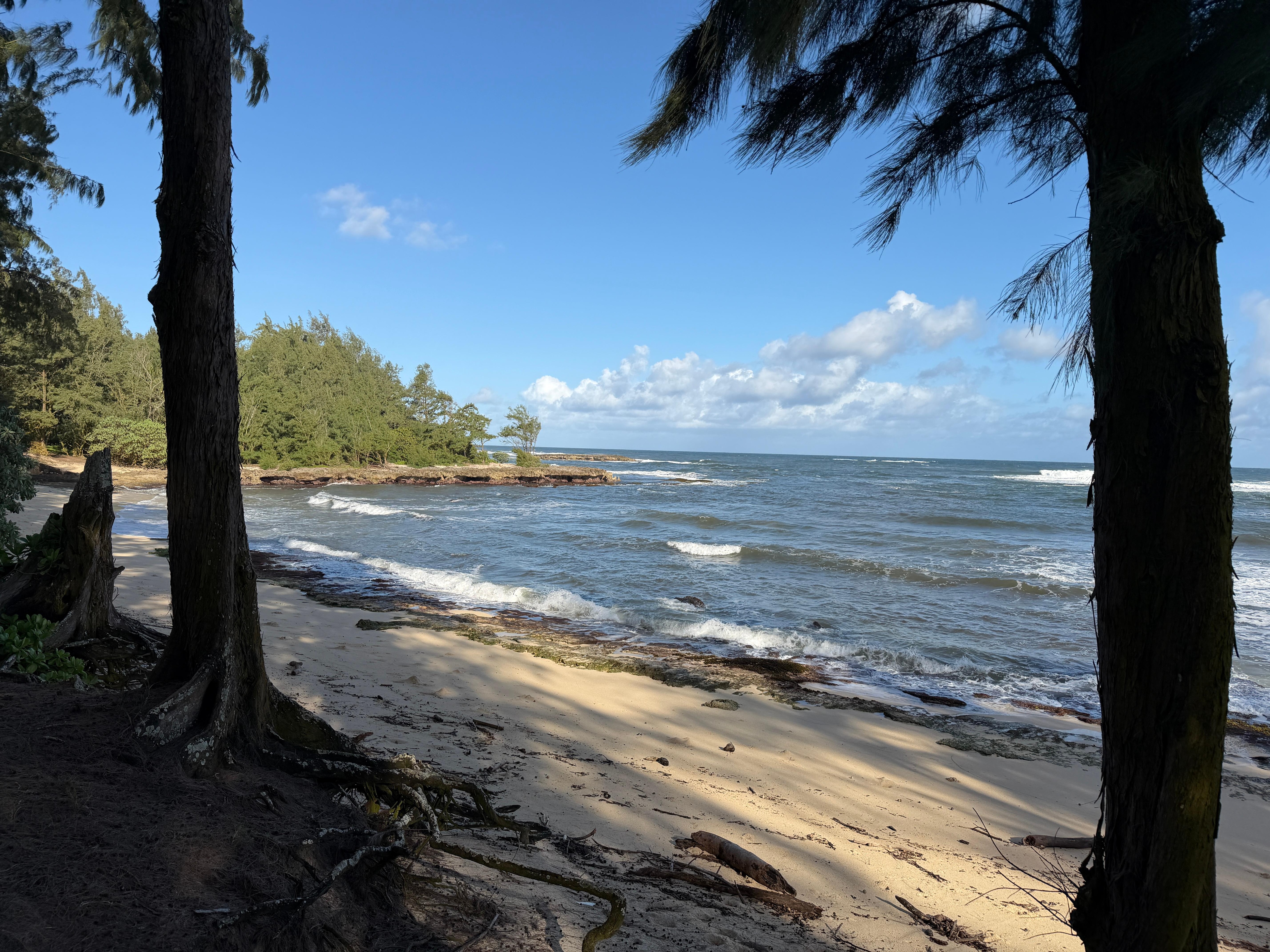 A morning walk along the beach 