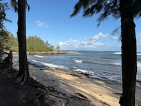 A morning walk along the beach
