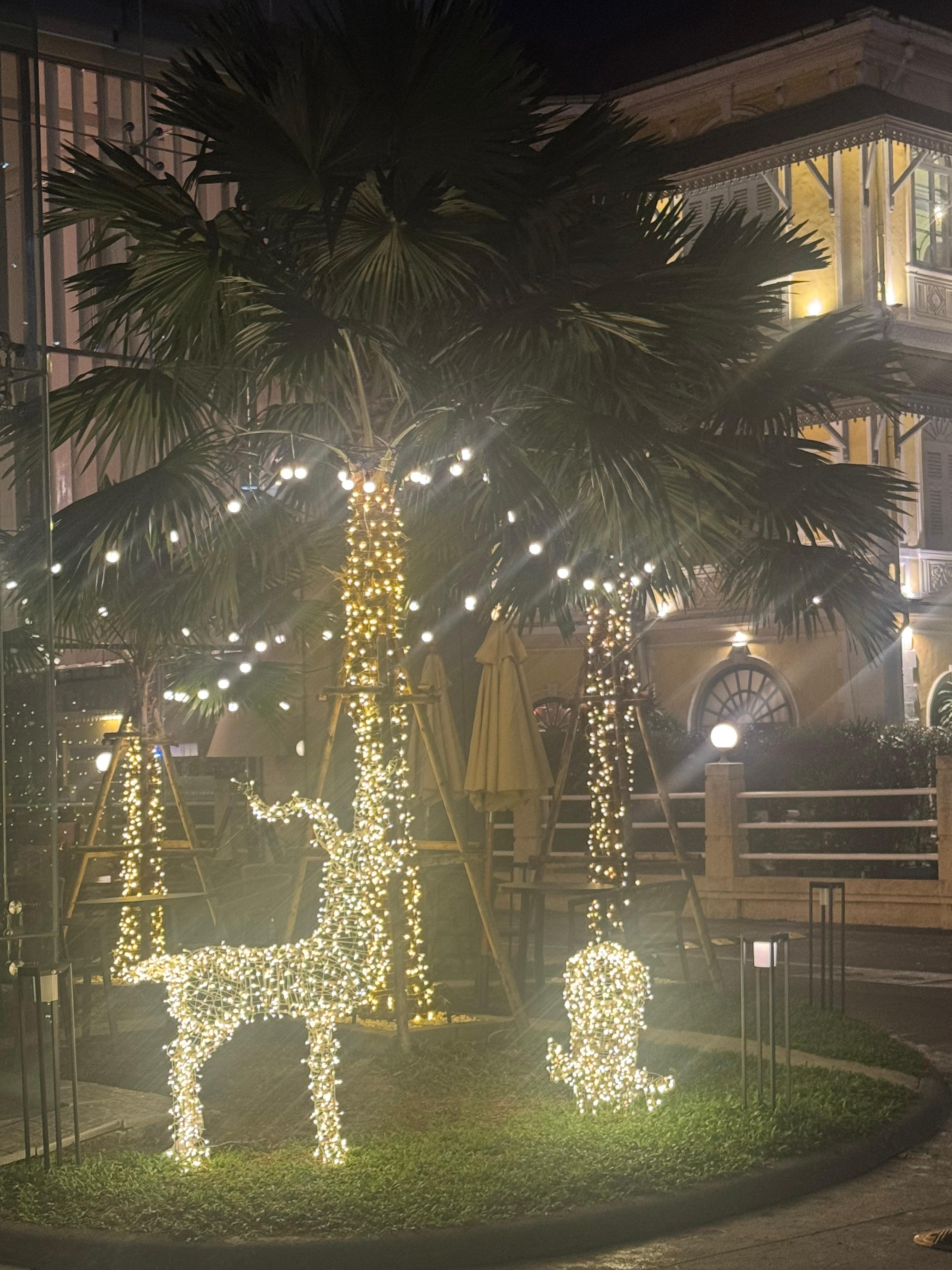 Das Personal hat sich so viele Mühe gegeben bei der Weihnachtsdeko. Es ist wunderschön geworden!
