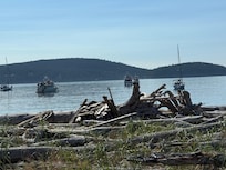 Nearby Spencer’s Spit is spectacular! We enjoyed sharing the beach with blue herons.