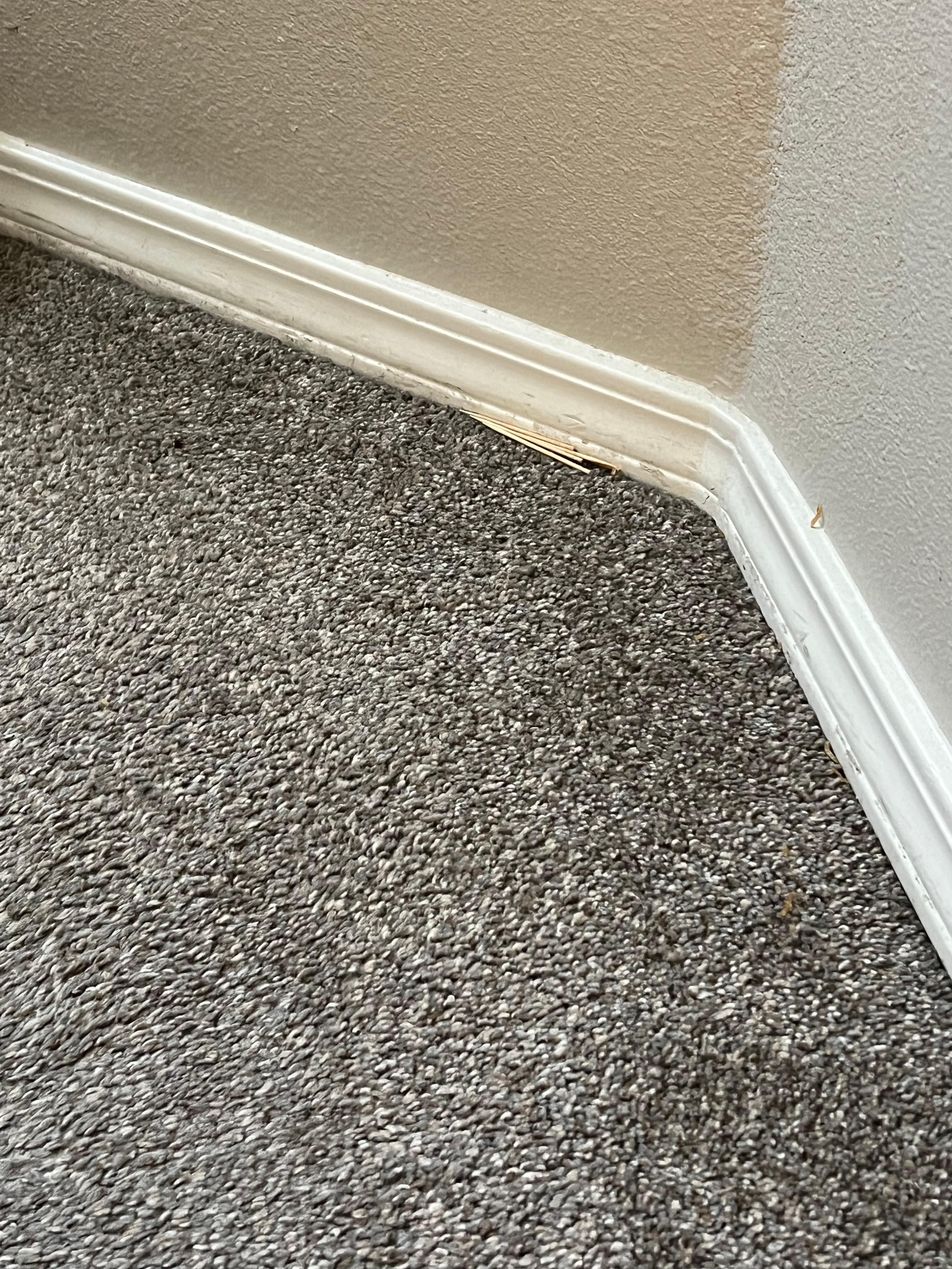 Toothpicks by baseboard 