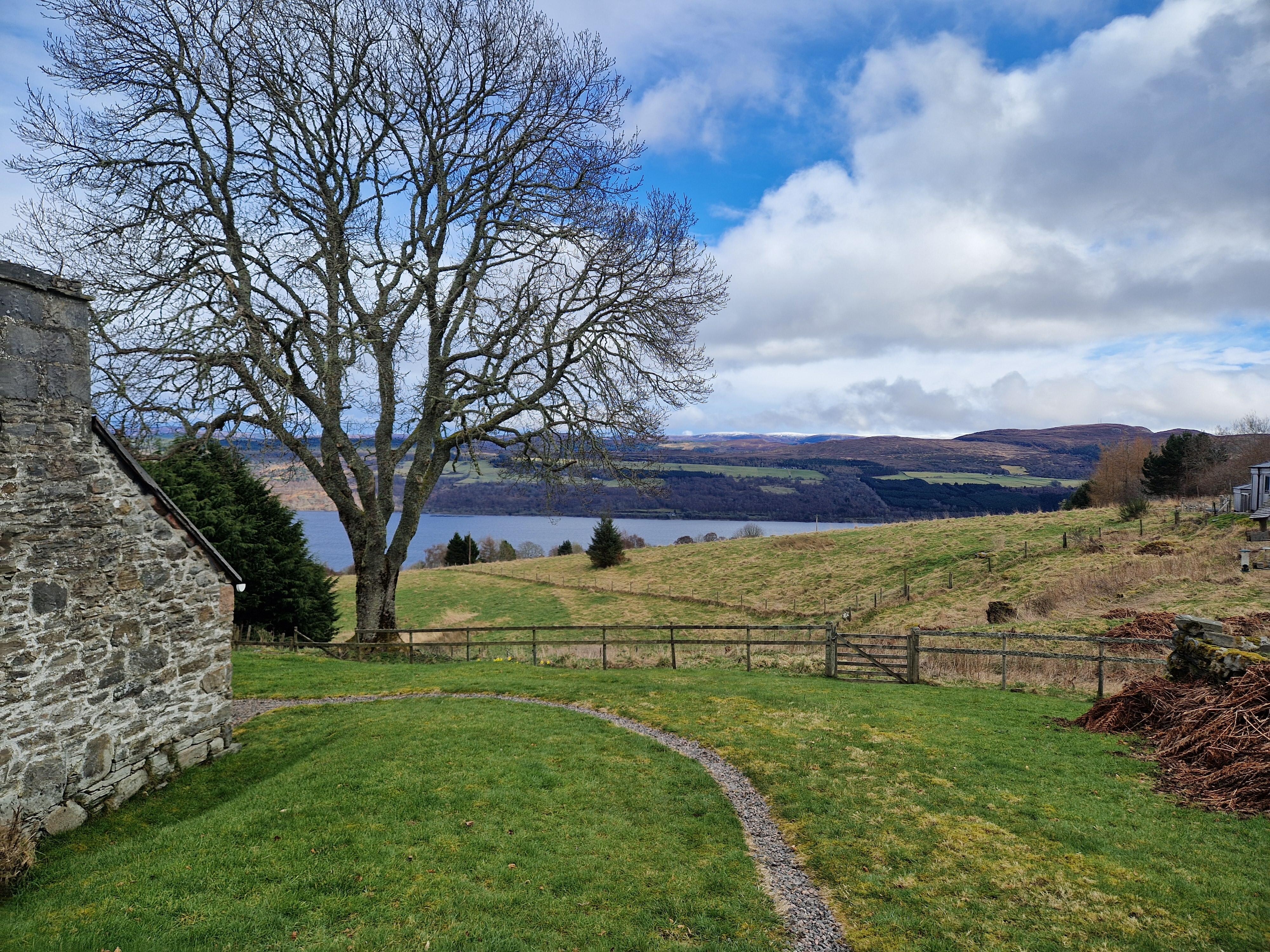 View from the side of the house by the back door