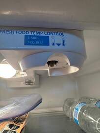Missing knob in refrigerator to cool the unit
