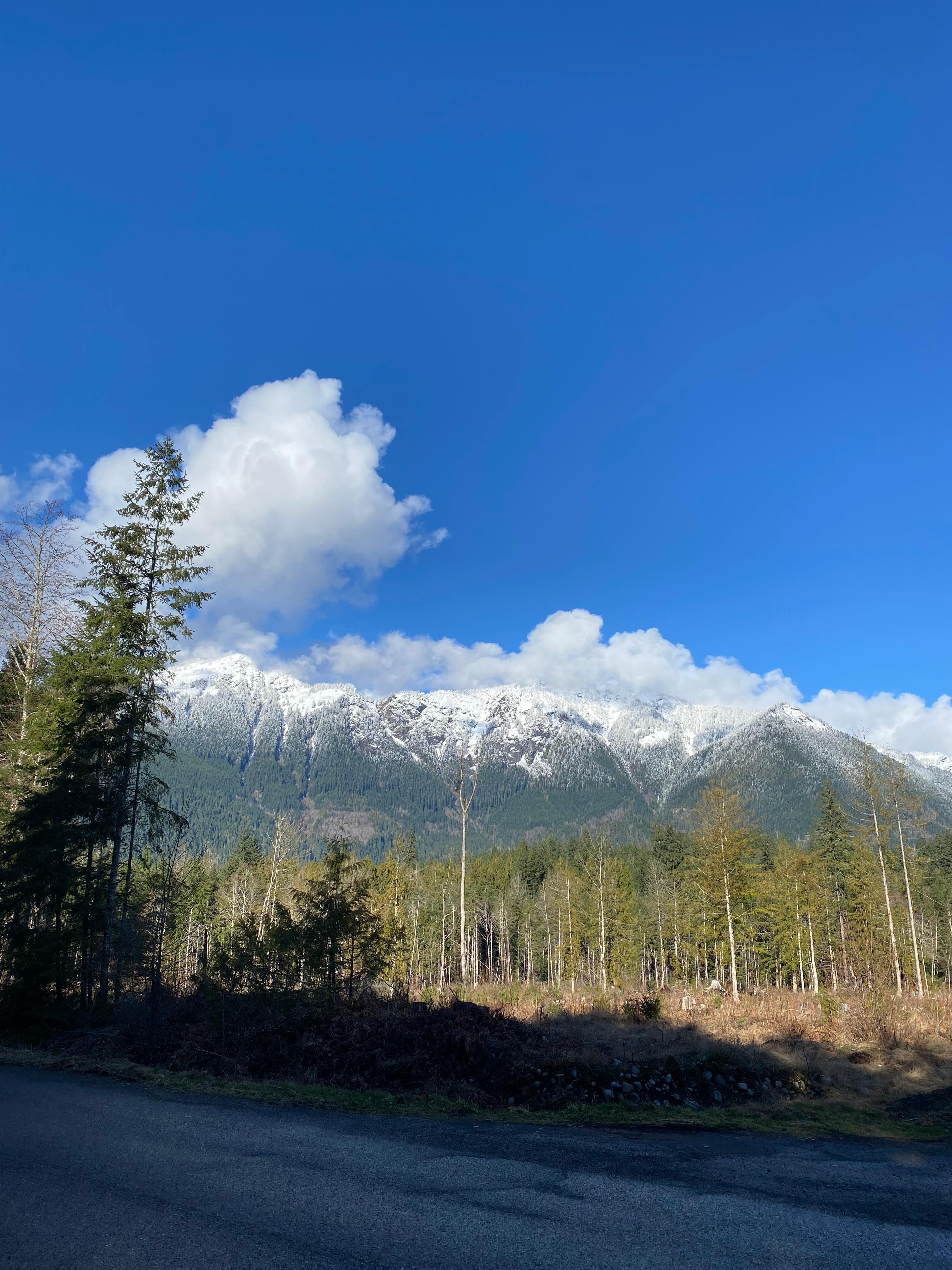 Take a walk around and just outside the neighborhood. You won’t regret it!