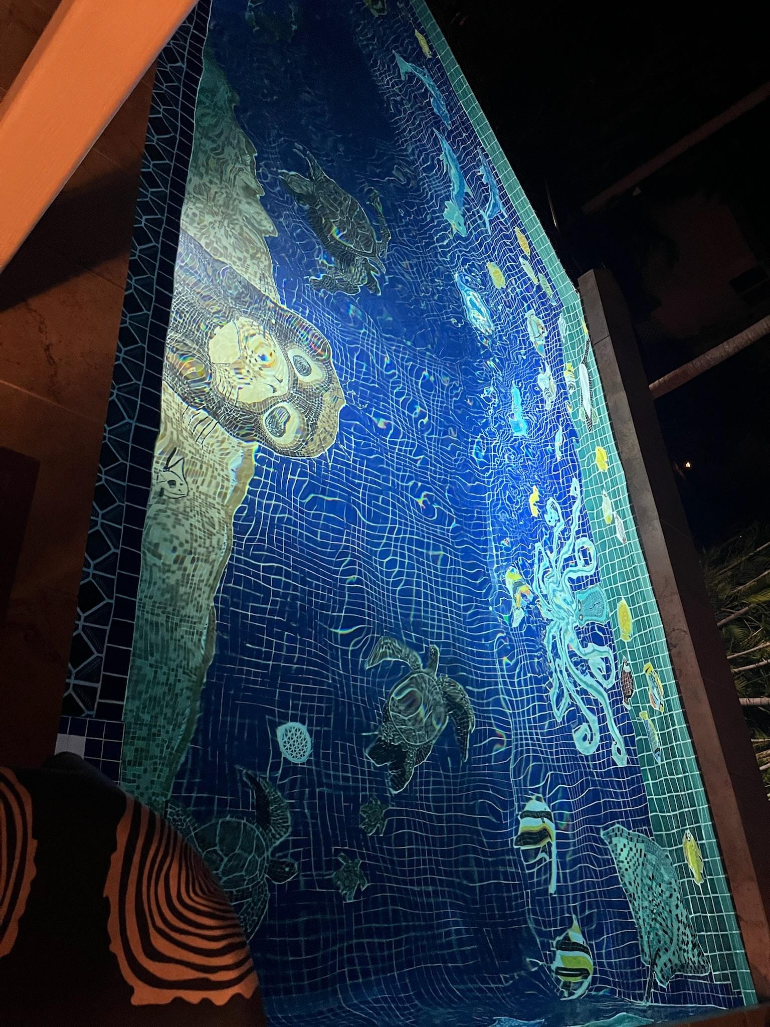 Beautiful hand-tiled mosaic in the pool.