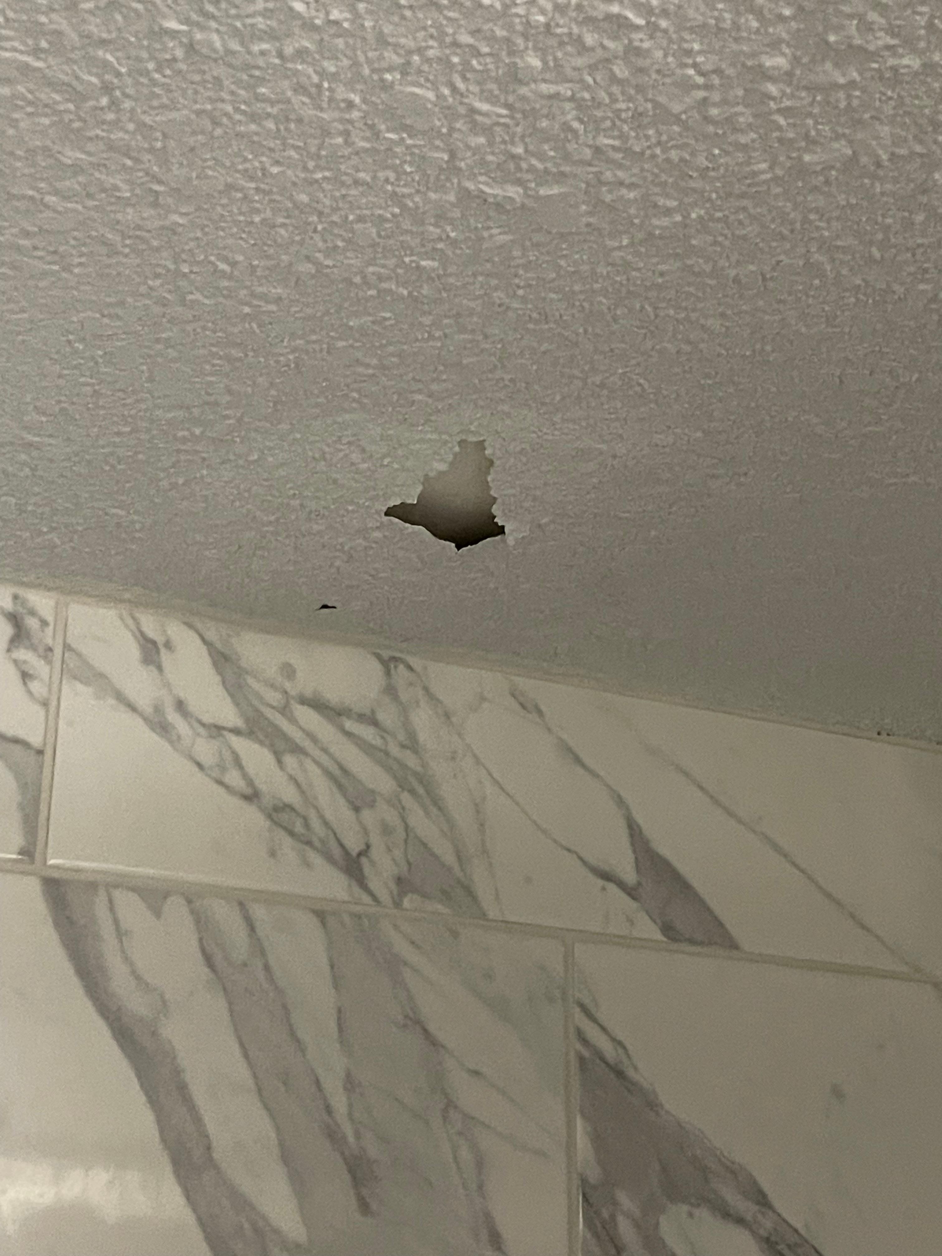 Ceiling popcorn coming down into master shower. 